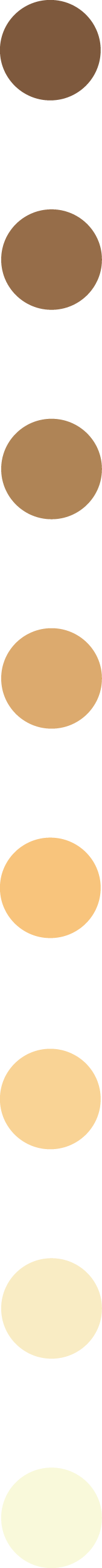Lumières des Lumière